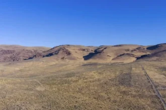 Grupos ambientalistas apelan contra mina de litio en Nevada por biodiversidad en riesgo