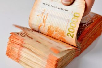 Guía Completa del Bono de Protección en Chile: Requisitos y Montos para el 2025, ¿Eres Elegible?