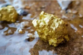Guyana: Aris Mining anuncia resultados positivos de PEA para el proyecto de oro Toroparu