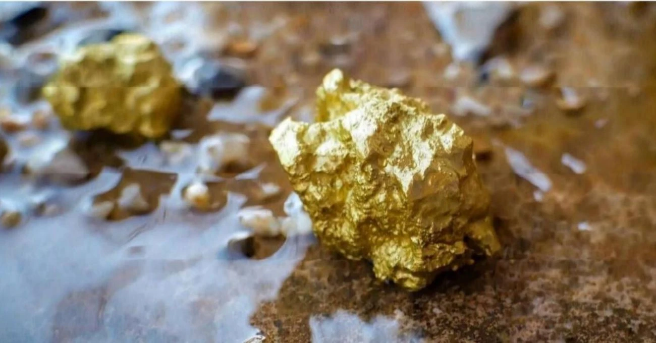 Guyana: Aris Mining anuncia resultados positivos de PEA para el proyecto de oro Toroparu