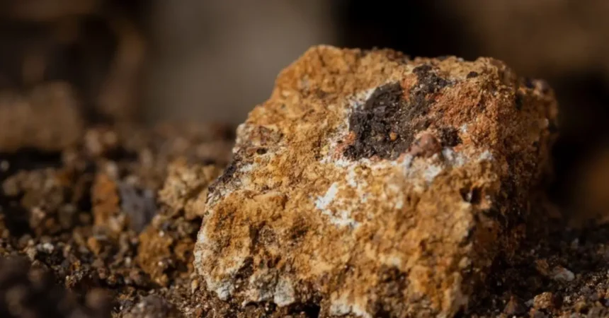 Hallan concentraciones de tierras raras en rocas asociadas al carbón en Utah y Colorado