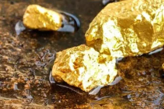 Hannan Metals amplía 400 metros la huella de alta ley del prospecto de oro alcalino Previsto