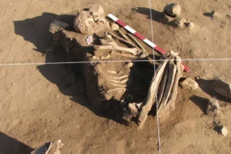Hombre de Los Vilos: 11.230 años bajo un conchal y la evidencia que cambió la arqueología costera