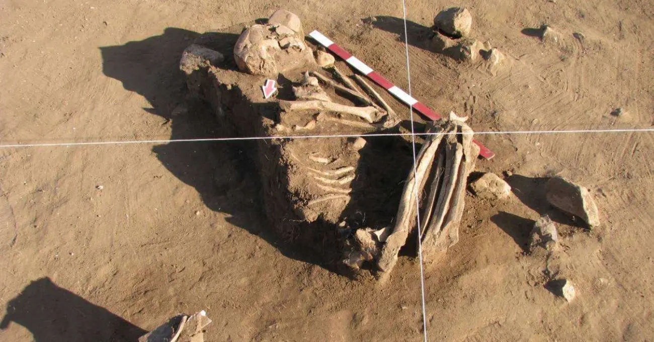 Hombre de Los Vilos: 11.230 años bajo un conchal y la evidencia que cambió la arqueología costera