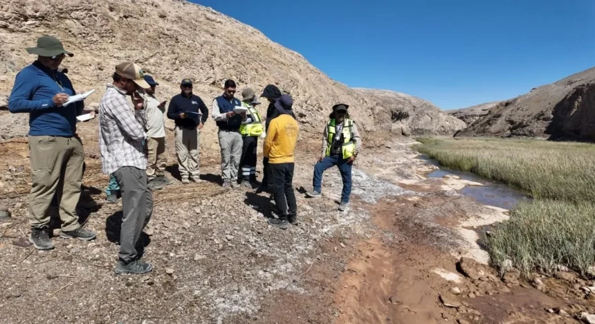 Humedal urbano del Río Loa: Tribunal Ambiental inspecciona en terreno tras reclamaciones de SQM y un particular