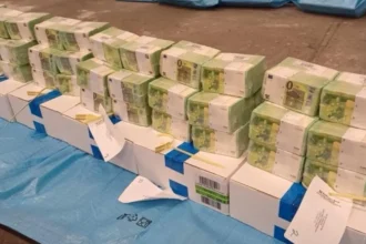 Hungría detiene convoy ucraniano con millones en efectivo y oro incautados