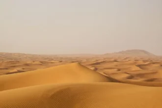 Importación de arena: Emiratos trajo 6,2 millones de toneladas en 2023 y la razón por la que el desierto no alcanza
