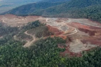 Indonesia impone impuestos al níquel: impacto global en vehículos eléctricos y baterías