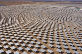 Instalaron paneles solares en desierto de China y crearon impensado microclima