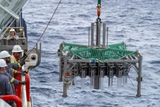 Investigación revela graves daños de la minería submarina a la biodiversidad marina abisal