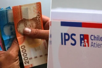 IPS activa consulta de pagos: así puedes revisar con RUN si recibes un beneficio
