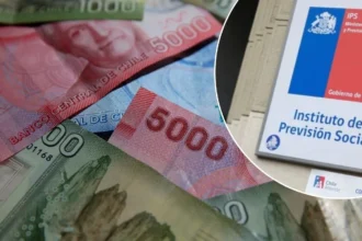 IPS en Línea: Plataforma permite acceder a tus beneficios económicos de forma rápida y sencilla