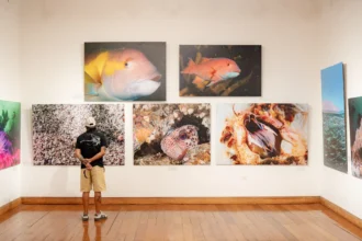 “Iquique, Mar de Campeones” supera las 3 mil 700 visitas en su primer mes en Sala de Arte Casa Collahuasi