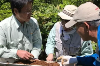 Irving Resources recibe sólidos resultados de perforación de los objetivos de sinterización de Omui y Omu, Proyecto de oro y plata Omu, Hokkaido, Japón