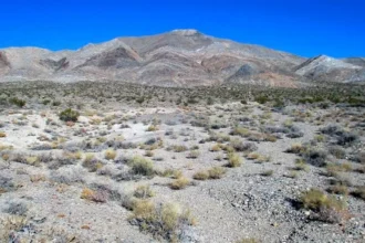 K2 Gold completa el programa de perforación de circulación inversa en el Proyecto Oro Si2, Nevada