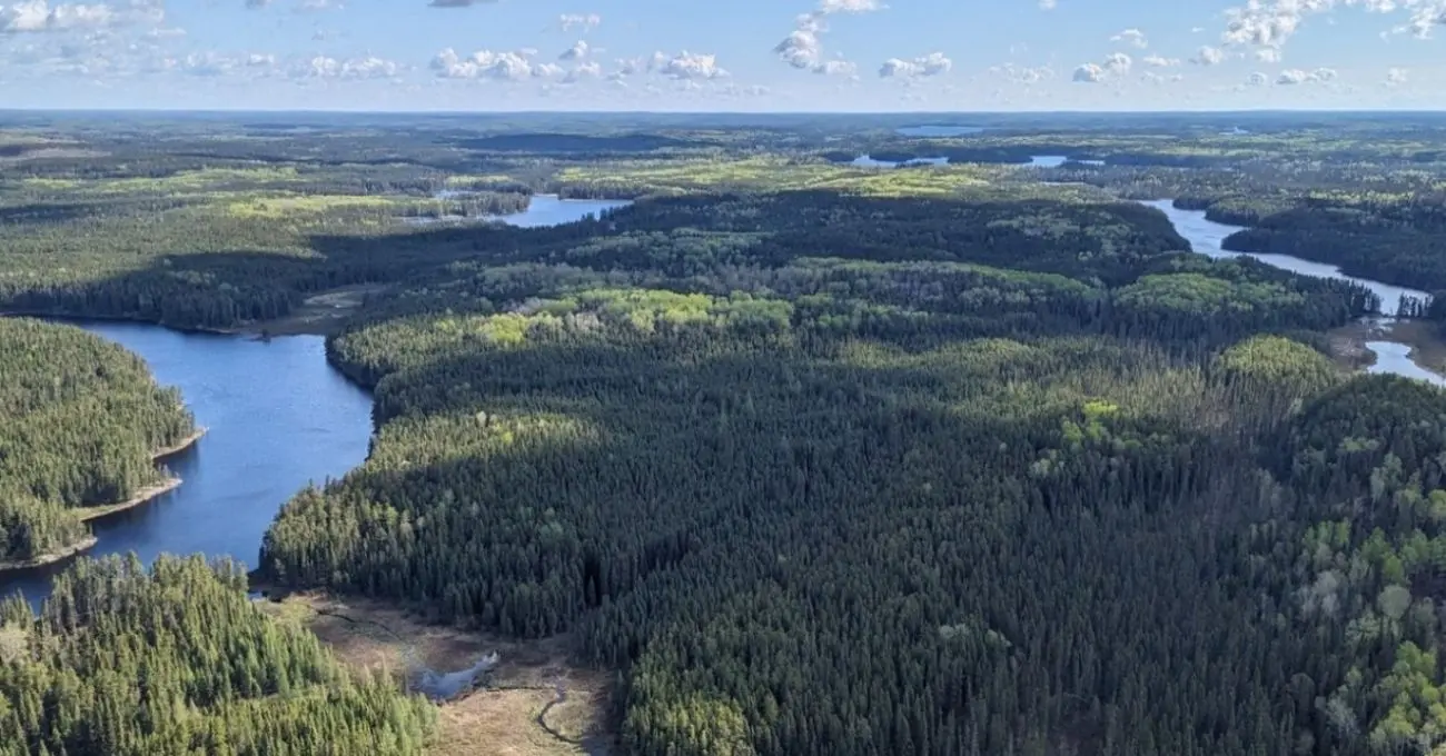 Kenorland Minerals y Auranova identifican nuevo corredor estructural portador de oro en el Proyecto South Uchi, Ontario