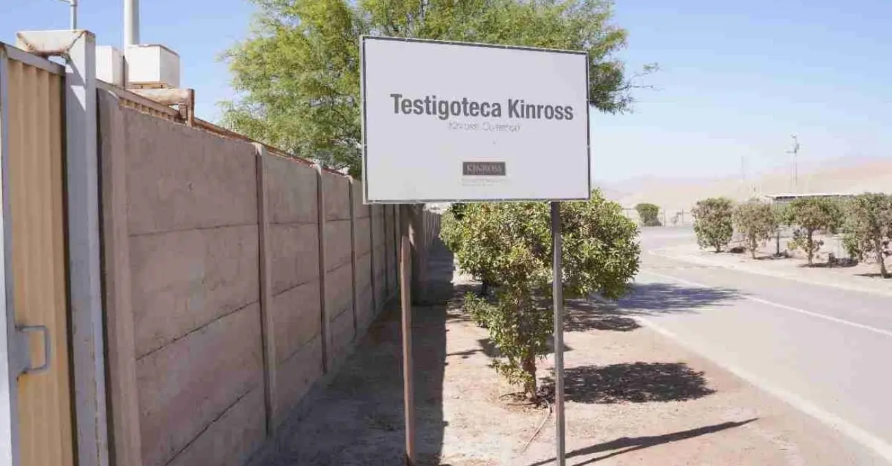 Kinross refuerza su cadena exploratoria en Paipote con mejoras en la Testigoteca y mayor trazabilidad de muestras