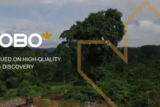 Kobo Resources intercepta 17,0 m a 3,87 g/t Au, lo que define aún más la mineralización de oro de alta ley en su proyecto de oro Kossou