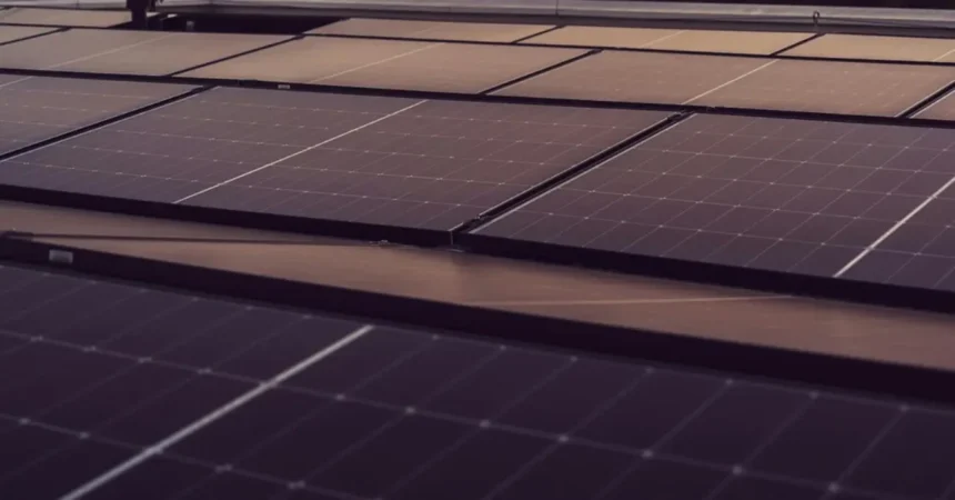 La energía solar pisa más fuerte y deja otra marca en el sistema eléctrico español