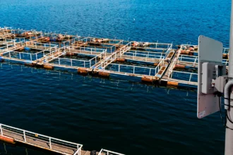 La evolución de la conectividad inalámbricapara entornos industriales exigentes