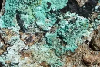 La exploración regional de Kodiak Copper Corp. destaca el potencial de expansión de recursos e identifica objetivos en el proyecto MPD Cobre-Oro