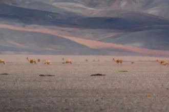 La Rioja implementa monitoreo ambiental clave para minería y desarrollo sostenible
