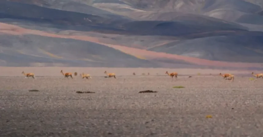 La Rioja implementa monitoreo ambiental clave para minería y desarrollo sostenible