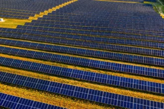 Las renovables superan por primera vez en suministro a los combustibles fósiles: destacan la energía solar y la eólica