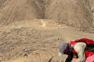 Latin Metals anuncia la creación de subsidiaria Latin Explore para exploración en Perú