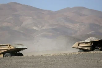 Legacy Minerals busca destrabar permisos y acelerar el desarrollo de Mt Carrington tras hallazgo en Mascotte