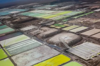 Litio: SQM proyecta alza de 12% en Nova Andino con Codelco y utilidades por US$588 millones en 2025