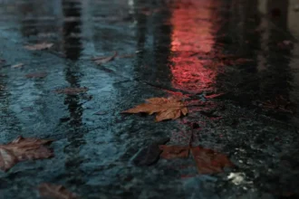 Lluvias y descenso de temperaturas marcan inicio de otoño en Chile
