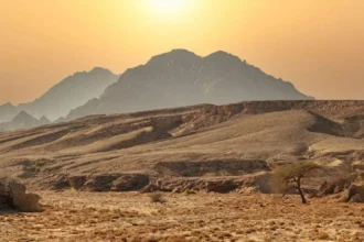 Maaden suma 7,8 millones de onzas de oro en Arabia Saudita: el detalle por 4 áreas y lo que viene en 2026