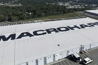 MACROHARD: Tesla y xAI redefinen la inteligencia artificial y la automatización empresarial