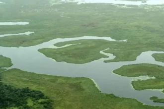 Mancha verde en represa sudafricana alerta sobre grave crisis ambiental global