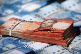 Mayo 2025: Guía Completa de Beneficios y Recursos para Cesantes en Chile