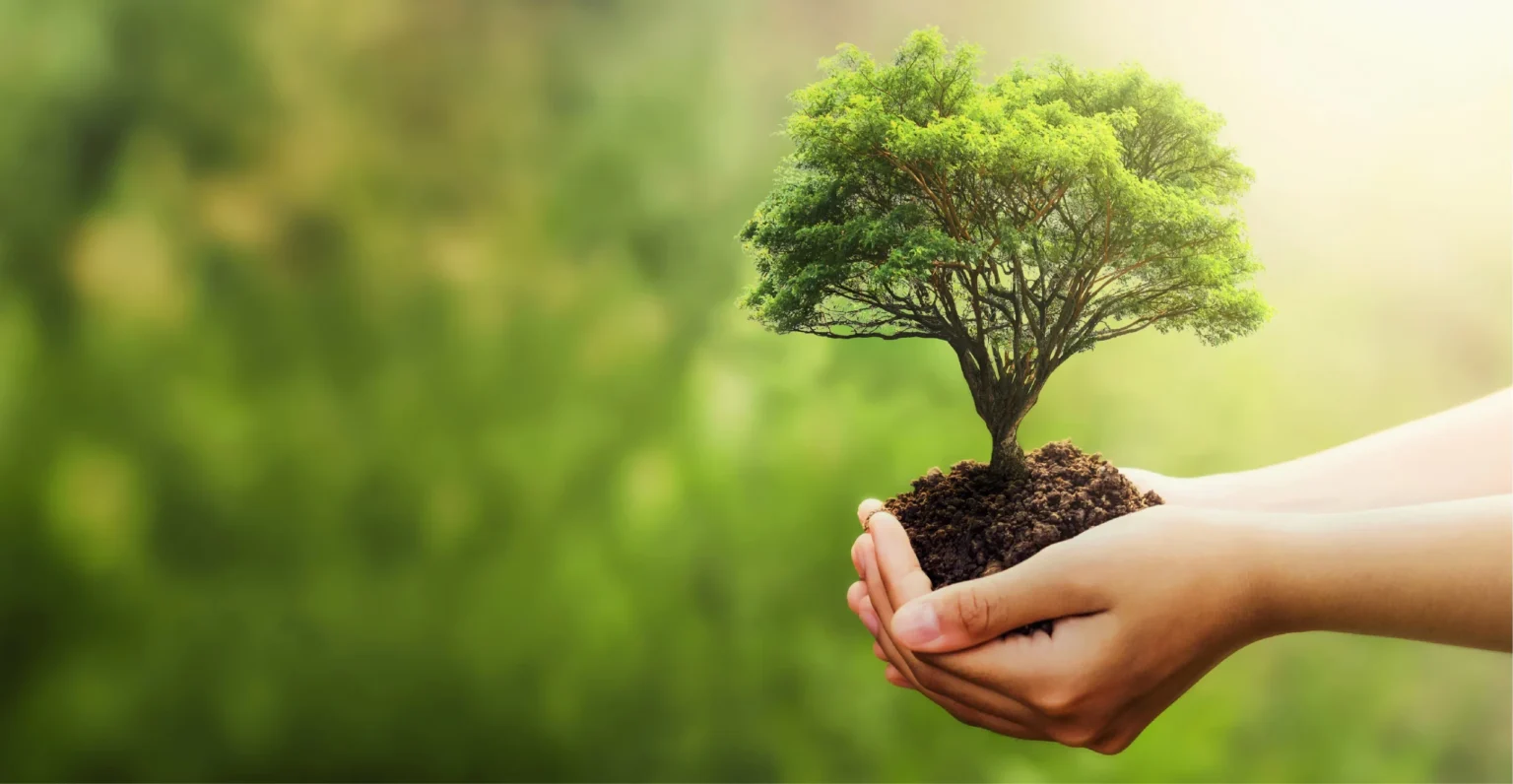 Medio Ambiente lanza ofensiva para blindar 4 millones de hectáreas en 99 sitios prioritarios