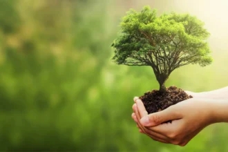 Medio Ambiente lanza ofensiva para blindar 4 millones de hectáreas en 99 sitios prioritarios