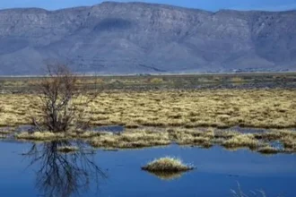 Megarreforma ambiental busca destrabar inversiones y acotar incertidumbre regulatoria