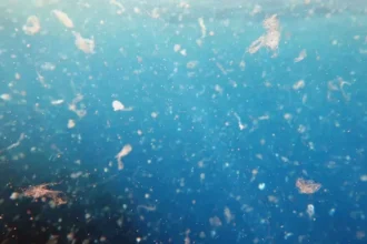 Microplásticos amenazan ecosistemas acuáticos mientras los bioplásticos presentan un impacto menor