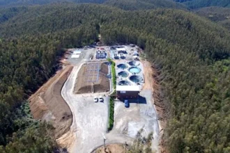 Minera Aclara Resources planea invertir US$ 1.300 millones en América y Estados Unidos