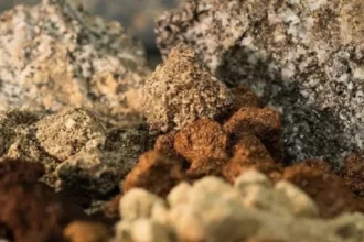 Minerales críticos: plan de US$12.000 millones de EE.UU. partiría comprando tierras raras a China