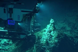 Minería bajo el mar: ensayo a 4.280 metros midió una caída del 32% en especies y dejó una pregunta incómoda