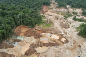 Minería ilegal: 40% de las entidades financieras no la detecta pese a operar en sectores de alto riesgo