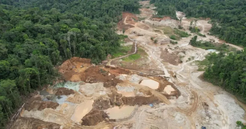 Minería ilegal: 40% de las entidades financieras no la detecta pese a operar en sectores de alto riesgo