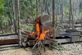 Minería ilegal de oro: Operación Escudo Guyana deja 198 detenidos tras 24.500 controles y un patrón de contrabando de mercurio