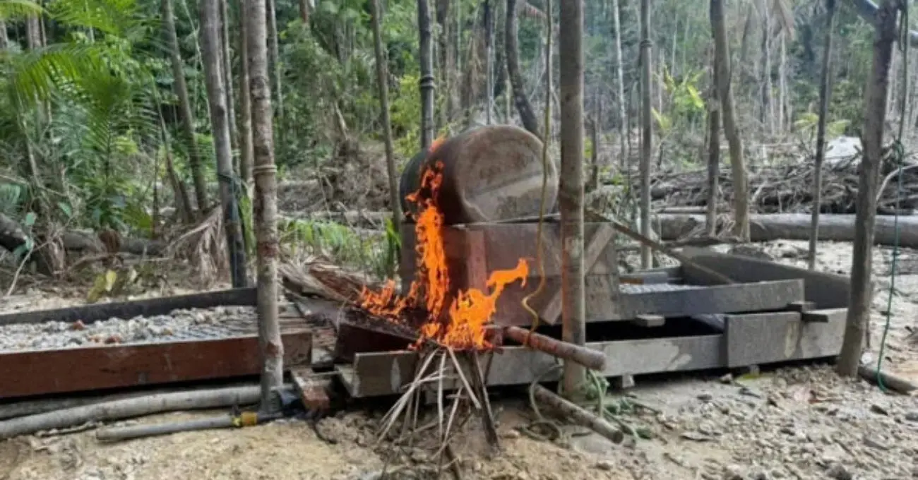 Minería ilegal de oro: Operación Escudo Guyana deja 198 detenidos tras 24.500 controles y un patrón de contrabando de mercurio