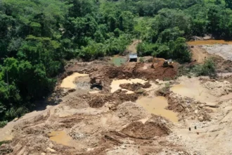 Minería ilegal en Perú compromete US$ 12 mil millones en inversiones