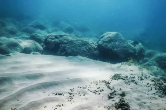 Minería submarina: Deep Sea Minerals activa licencia en EE.UU. y acelera disputa global por nódulos polimetálicos