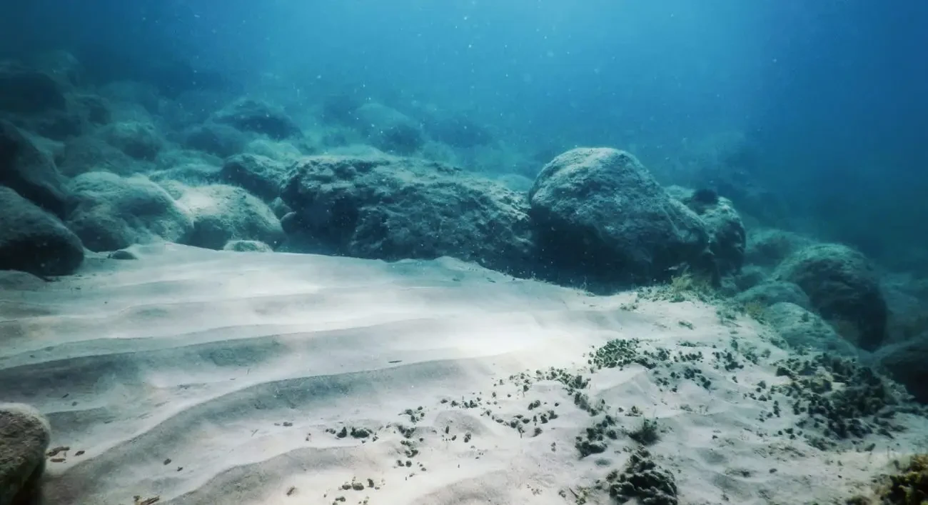 Minería submarina: Deep Sea Minerals activa licencia en EE.UU. y acelera disputa global por nódulos polimetálicos